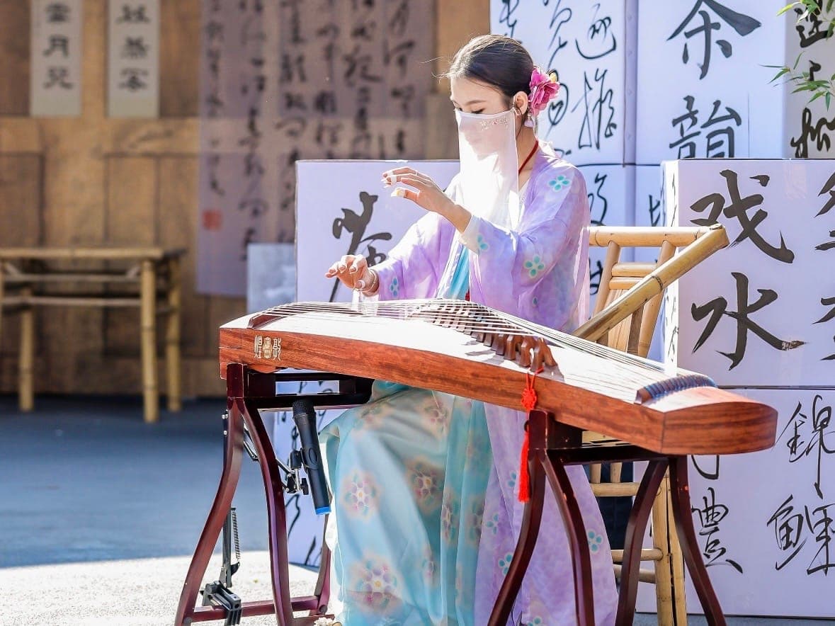 Guzheng Solo on the street